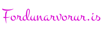 logo - draumavefir